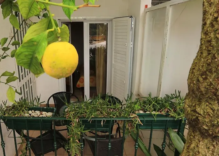 Andrijasevic Apartament