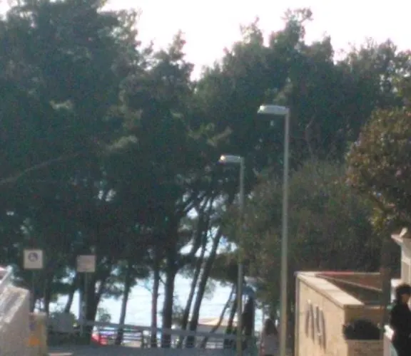 Andrijasevic Apartman