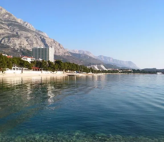 Andrijasevic Daire *